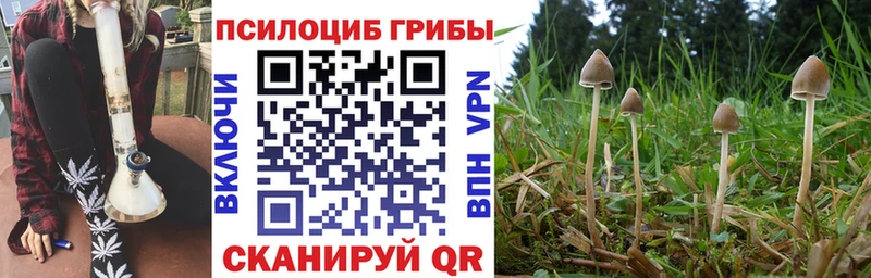 даркнет сайт  Сасово  Псилоцибиновые грибы Magic Shrooms 